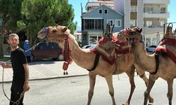 Aydın’da düzenlenecek olan Yörük Çalıştayı hazırlıkları tamamlandı