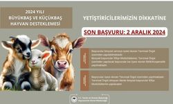 Aydın İl Tarım ve Orman Müdürlüğü'nden destekleme başvuruları için son gün uyarısı