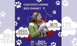 Başkan Gençay 2024 yılında 3923 patili dosta destek oldu