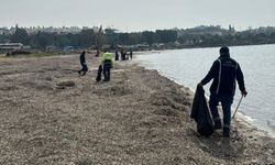 Didim'de sahil hattı temizlendi