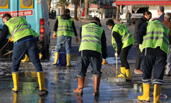 Didim'de sokaklar lavanta kokuyor!