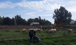Fevzipaşa Mahallesi baştan sona temizlendi