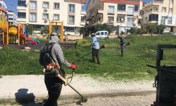 Didim Belediyesi’nden Efeler Mahallesi’nde Park Temizliği
