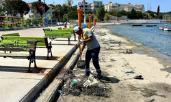 Didim Belediyesi Mavişehir Sahili’nde temizlik çalışması yaptı