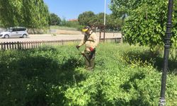 Didim’de parklarda ot biçme çalışmaları tamamlandı