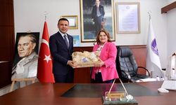 CHP İstanbul İl Başkanı Özgür Çelik’ten Didim Belediyesi’ne ziyaret