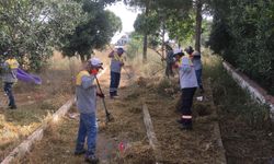 Didim'de park alanında ot temizliği yapıldı
