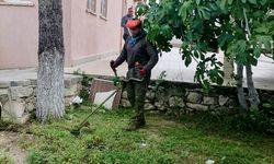 Didim’de camilerin bahçelerinde ot temizliği tamamlandı