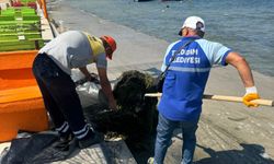 Mavişehir sahilinde temizlik çalışmaları tamamlandı