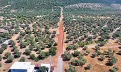 Didim'de yol çalışmaları devam ediyor