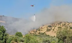 Aydın'da hasar tespit çalışmaları tamamlandı