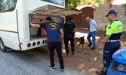 Milyonfest Didim'de yapılan kontrollerde aranan 17 şahıs yakalandı