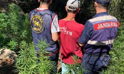 Aydın’da uyuşturucu operasyonunda 14 şüpheli gözaltına alındı!