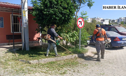 Didim Belediyesi kent estetiği ve yaşam kalitesini artırmak için sahada