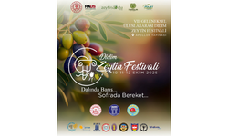 Didim Zeytin Festivali'ne geri sayım başladı