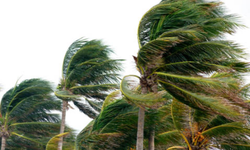 Aydınlılar dikkat! Fırtına uyarısı yapıldı