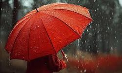 Didim'de hava bugün  sağanak yağışlı olacak