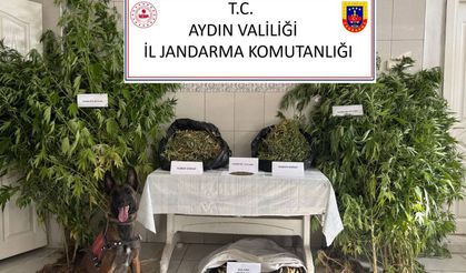 Aydın'da 12 şüpheli şahıs yakalandı
