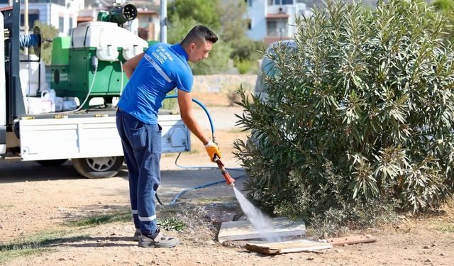 Didim'de ilaçlama çalışmaları aralıksız devam ediyor