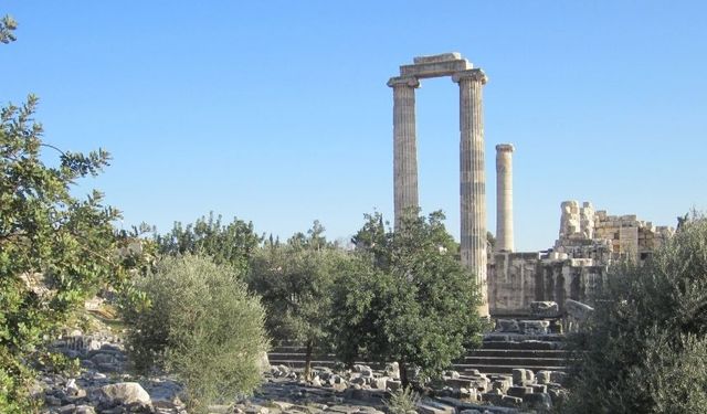 Didimliler hafta sonunu güneşli geçirecek
