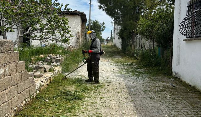 Akköy’de otlarla mücadele sürüyor