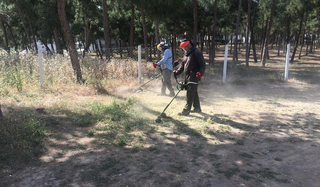 Didim Belediyesi’nden Çamlık Mahallesi’nde temizlik çalışması