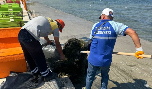 Mavişehir sahilinde temizlik çalışmaları tamamlandı