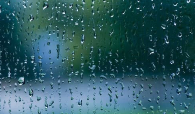 Didimliler dikkat! Yağışlar etkisini sürdürecek