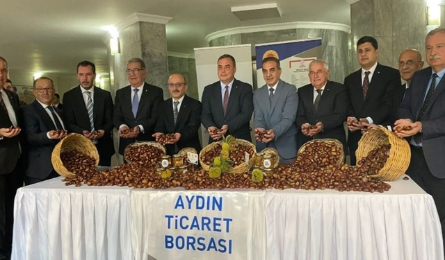 Aydın'da sezonun ilk kestanesi 550 TL'den alındı