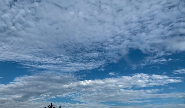 Didim'de bugün hava bulutlu olacak!