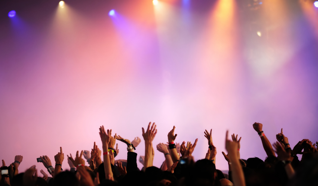 Ünlülerin yılbaşı ücretleri dudak uçuklattı