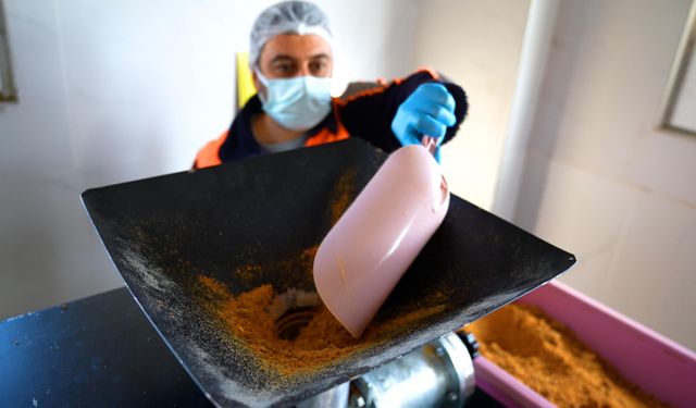 Didim'de her geri dönüşüm can dostlara umut olacak!