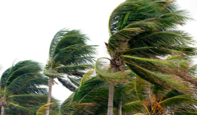 Aydınlılar dikkat! Fırtına uyarısı yapıldı