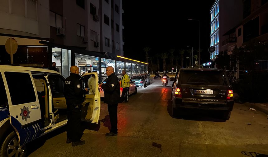 Park halindeki otomobile çarpan sürücü polislere zor anlar yaşattı