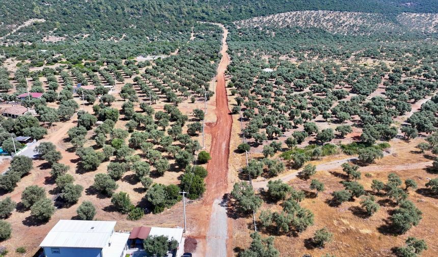 Didim'de yol çalışmaları devam ediyor