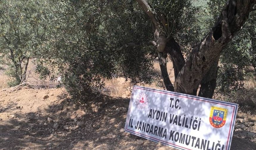 Didim'de kaçak kazı yapan 6 kişi yakalandı