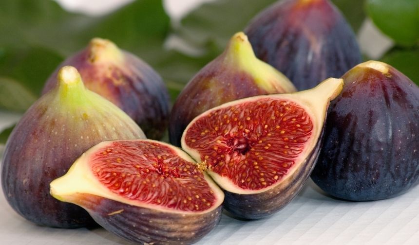 Aydın’da incir hasadı için geri sayım başladı