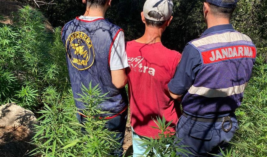 Aydın’da uyuşturucu operasyonunda 14 şüpheli gözaltına alındı!