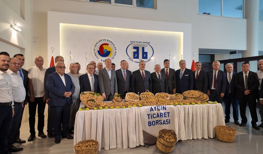 Aydın'da kuru incir sezonu açıldı
