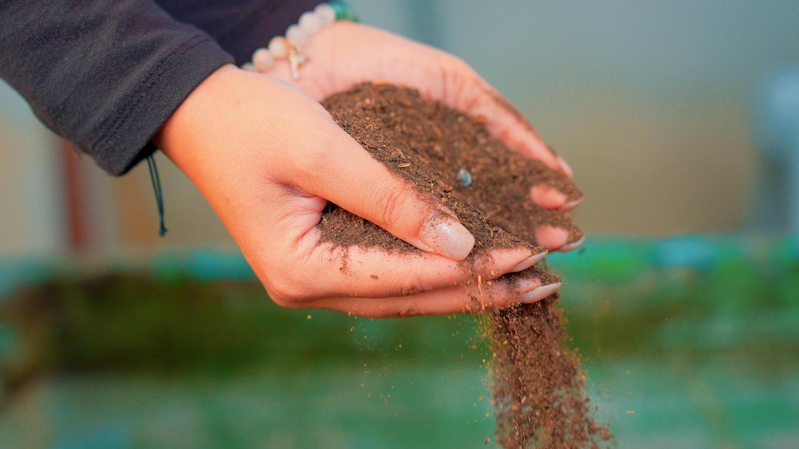 Whatsapp Image 2025 12 04 At 20.04.57 2