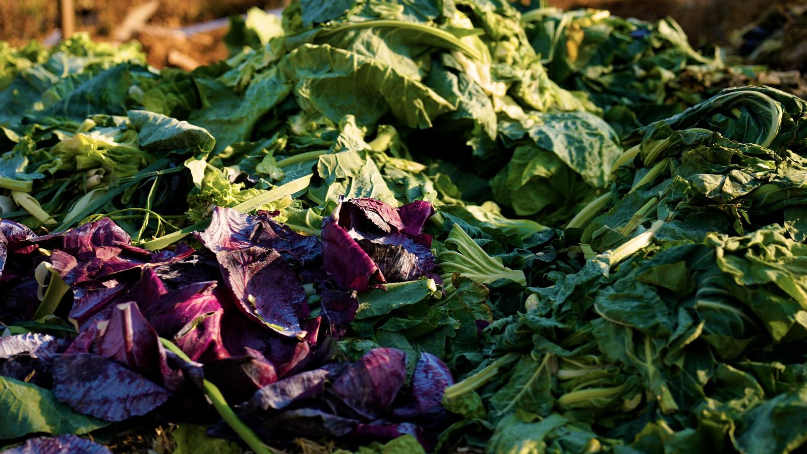 Whatsapp Image 2025 12 04 At 20.04.57