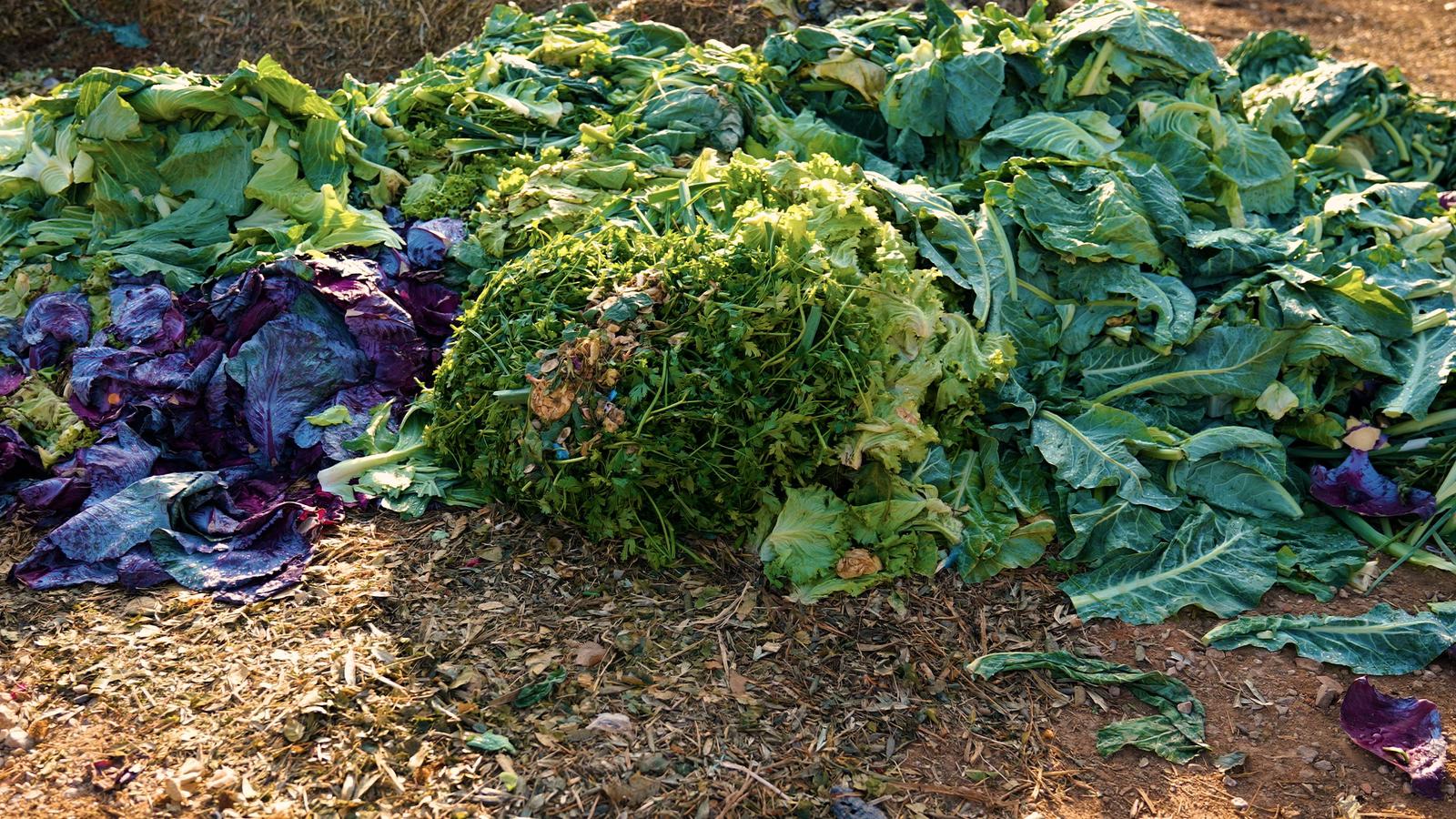 Whatsapp Image 2025 12 04 At 20.04.58