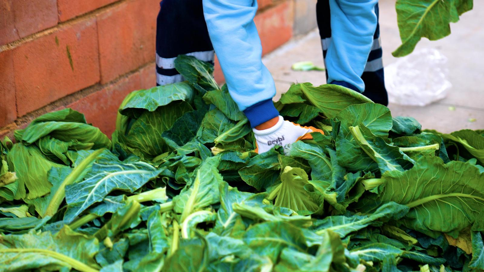 Whatsapp Image 2025 12 04 At 20.05.00